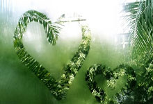 炸金花到底怎么玩？规则全解析